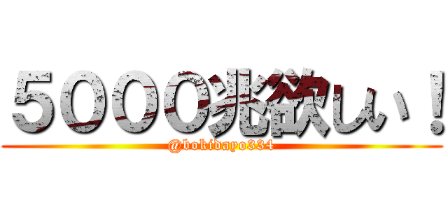 ５０００兆欲しい！ (@bokidayo334)