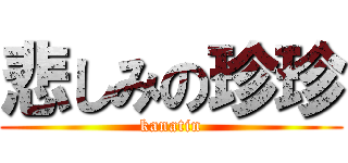 悲しみの珍珍 (kanatin)