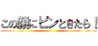 この顔にピンときたら！ ()