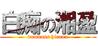 白痴の湘盈 (dumbass hiraux)
