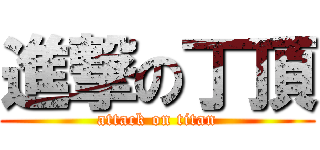 進撃の丁頂 (attack on titan)