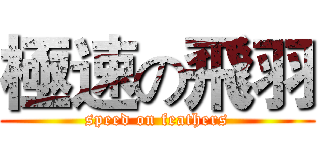 極速の飛羽 (speed on feathers)