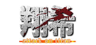 翔希 (attack on titan)