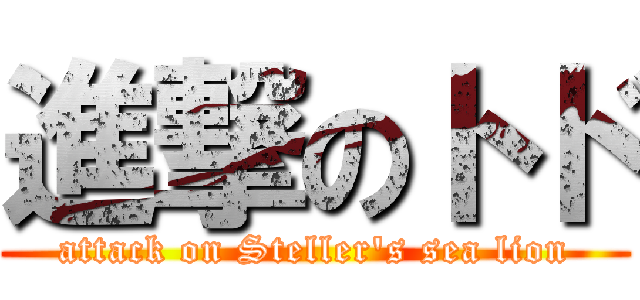 進撃のトド (attack on Steller's sea lion)