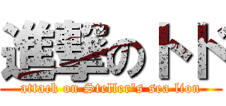 進撃のトド (attack on Steller's sea lion)