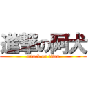 進撃の阿犬 (attack on titan)