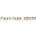 Ｐａｙｎｉｓｓｅ ｓａｕｖａｇｅ (Tour mondial)