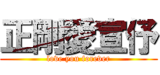 正剛愛宣伃 (love you forever)
