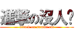 進撃の沒人喵 (attack on sammi cat)