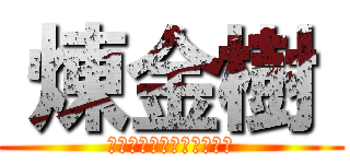  煉金樹  (有效萃取金新木薑子生物鹼)