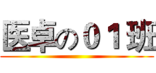 医卓の０１ 班 ()
