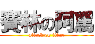 賽林の阿罵 (attack on titan)