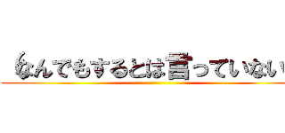 （なんでもするとは言っていない） ()