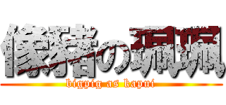 像豬の珮珮 (bigpig as kapui)