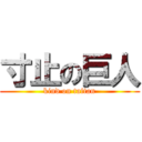 寸止の巨人 (kind on taitan)