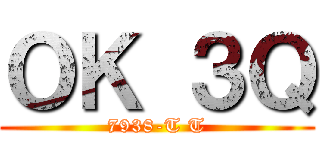 ＯＫ ３Ｑ (7938-T T)