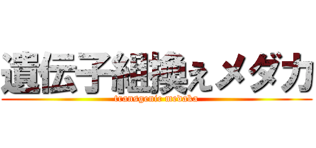 遺伝子組換えメダカ (transgenic medaka)