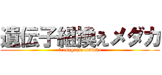 遺伝子組換えメダカ (transgenic medaka)