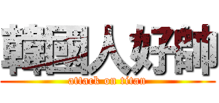 韓國人好帥 (attack on titan)