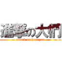 進撃の大椚 (attack on hanayan)