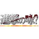 進撃の咏菡 (attack on Han)