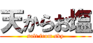 天からお塩 (salt from sky)