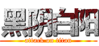 黑阴白阳 (attack on titan)