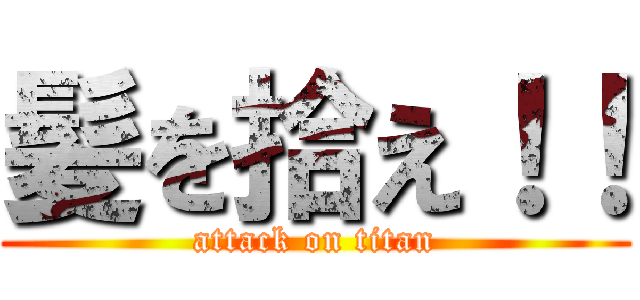 髪を拾え！！ (attack on titan)