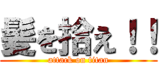 髪を拾え！！ (attack on titan)