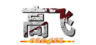 高飞 (GAOFEI)