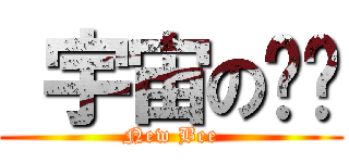  宇宙の枫烬 (New Bee)