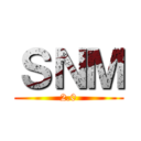 ＳＮＭ (2.0)
