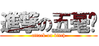 進撃の五毫纸 (attack on bitch)