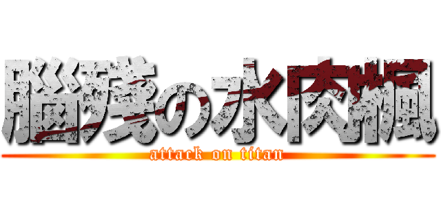 腦殘の水肉楓 (attack on titan)