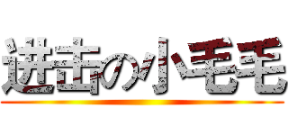 进击の小毛毛 ()
