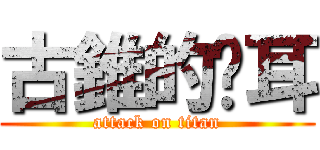 古錐的貓耳 (attack on titan)