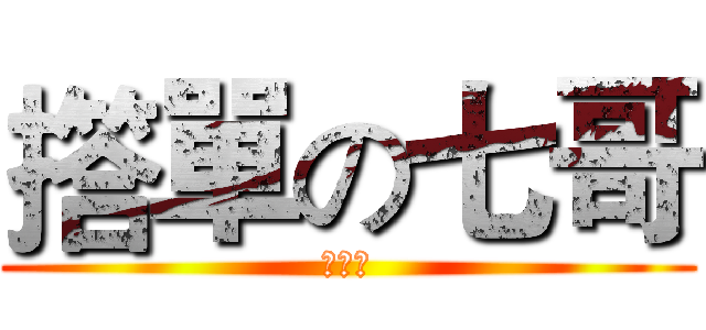 撘單の七哥 (＞₩＜)