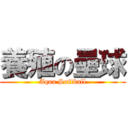 養殖の壘球 (Aqua Softball)