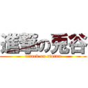 進撃の兎谷 (attack on riotan)