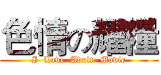 色情の耀糧 (I  Love  Adult  Movie)