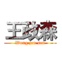 王政森 (Wong jen sen)