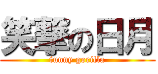 笑撃の日月 (funny gorilla)