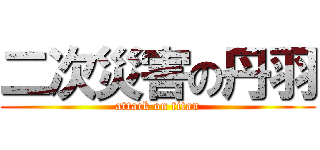 二次災害の丹羽 (attack on titan)