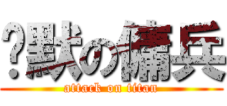 沉默の傭兵 (attack on titan)