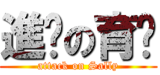 進擊の育姍 (attack on Sally)