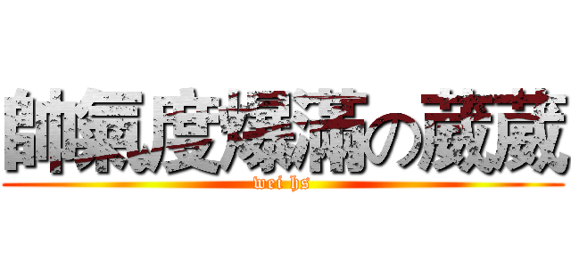 帥氣度爆滿の葳葳 (wei hs)