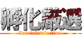 孵化厳選 (Careful selection )