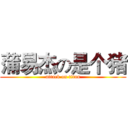 蒲易杰の是个猪 (attack on titan)