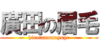廣田の眉毛 (hirotanomayuge)