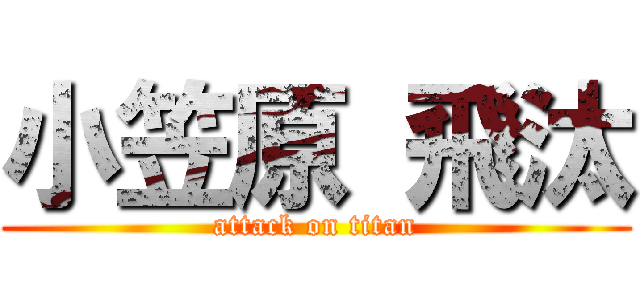 小笠原 飛汰 (attack on titan)